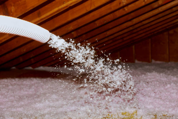 Best Insulation Maintenance and Repair in Menomonie, WI